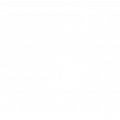 white icon of man climbing up steps to grab the flag