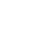 Money Icon