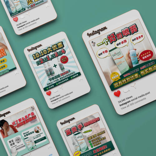 Social Media Ad Performance for A Local Skin Care Brand