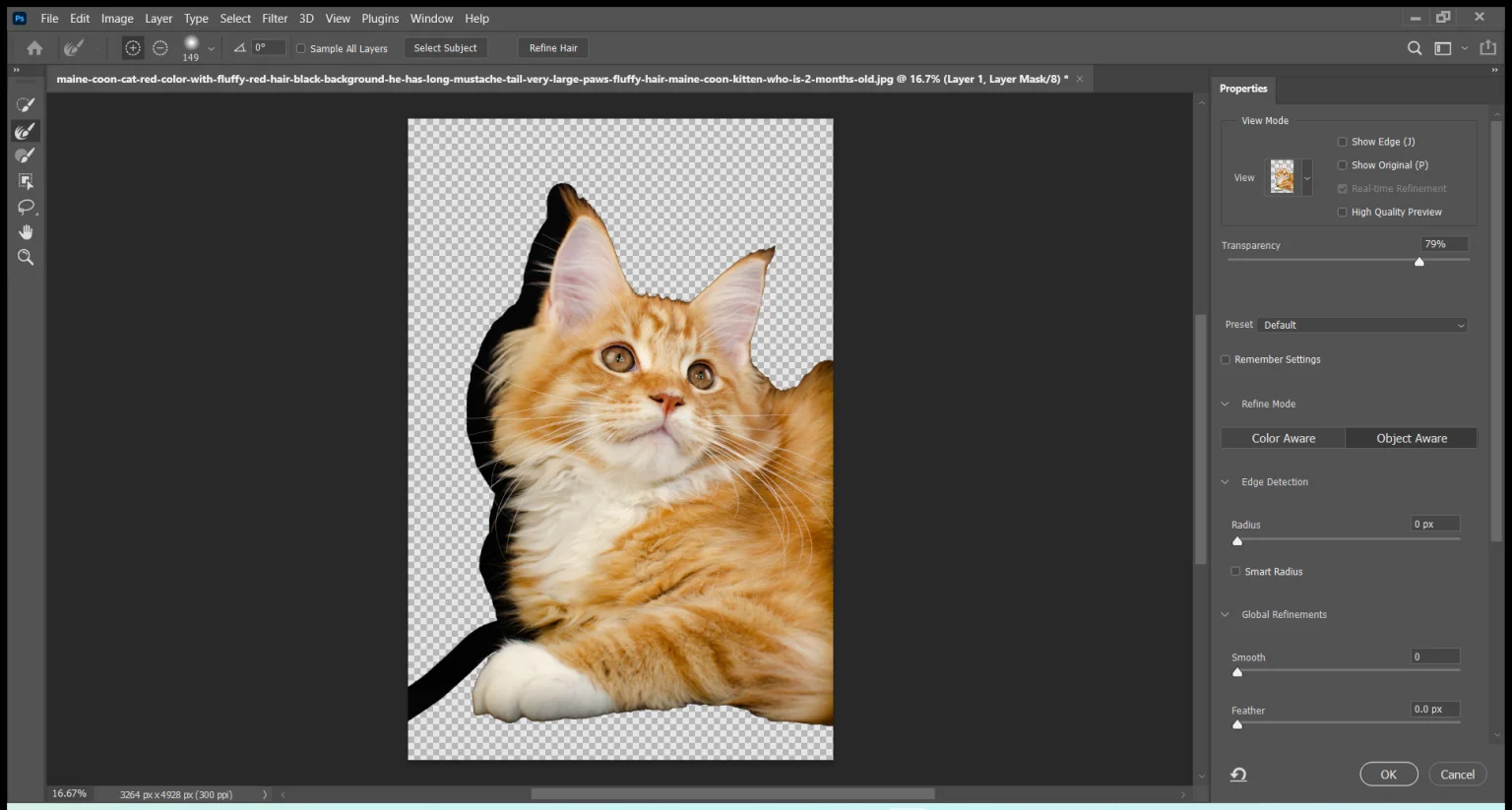 refine edge brush tool result