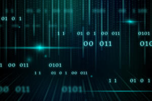 The Algorithm and the Audience: How Computers and People Both Need the Right Input