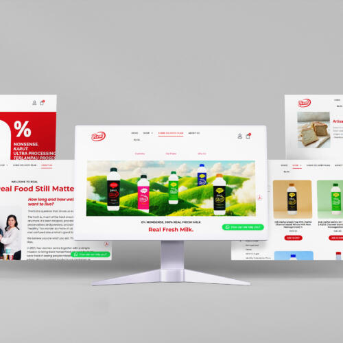 Website Revamp & Maintenance for an FMCG